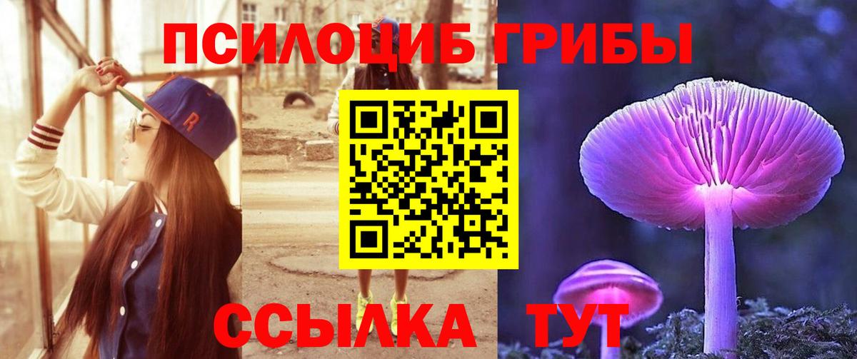 Псилоцибиновые грибы прущие грибы Сухой Лог