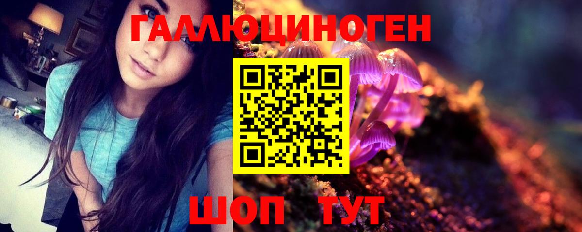 Псилоцибиновые грибы мицелий  Вход с VPN  Псилоцибиновые грибы мицелий  Сухой Лог 
