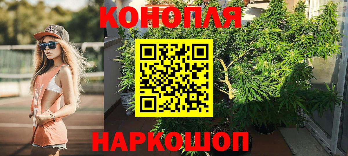 Марихуана гибрид Сухой Лог